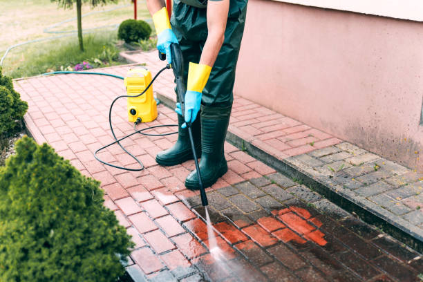 Best Gutter Cleaning  in Centrevle, IL
