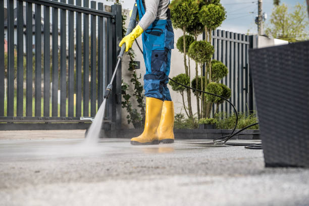 Best Soft Washing  in Centrevle, IL