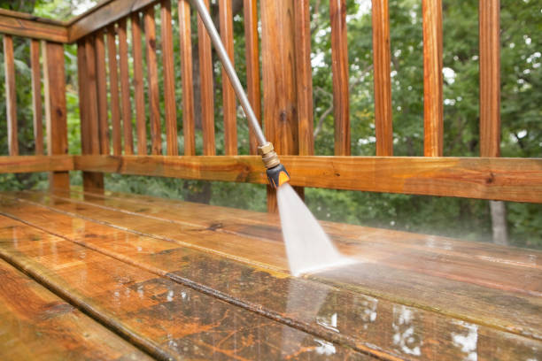 Best Animal Enclosure Cleaning  in Centrevle, IL