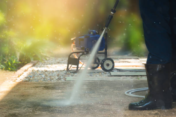 Best Gutter Cleaning  in Centrevle, IL